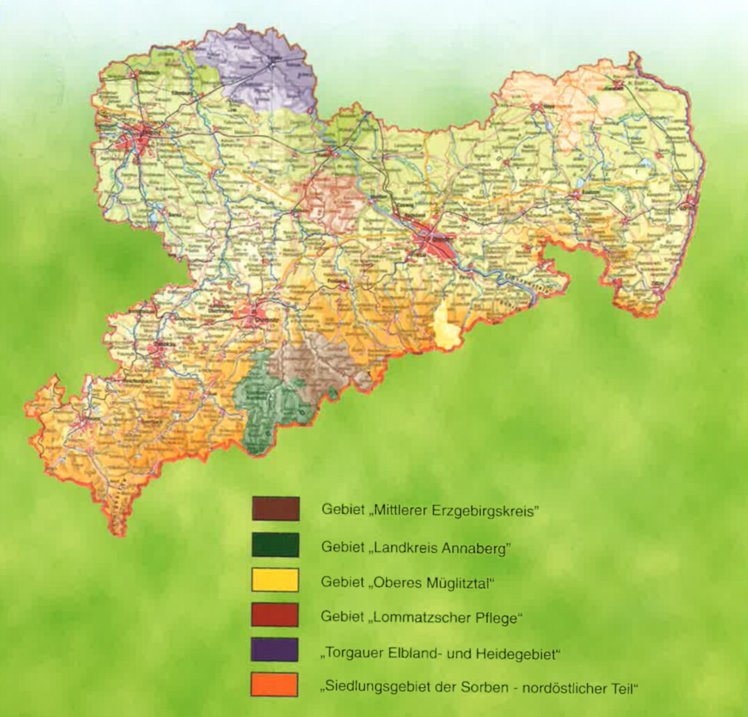 Sachsenkarte mit einzeichneten LEADER II-Gebieten 1994 - 1999