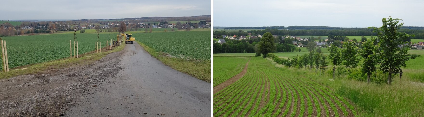 Bild links: Weg mit neuer Wegseitenbepflanzung 2019; Bild rechts: Wegseitenbepflanzung im Jahr 2024