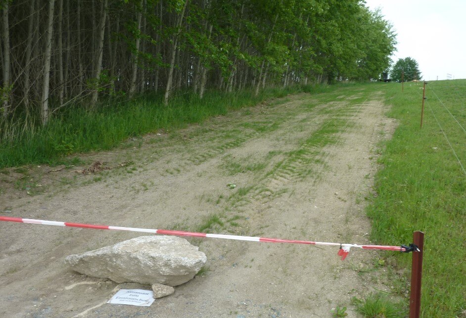 Feldweg entlang von Bäumen