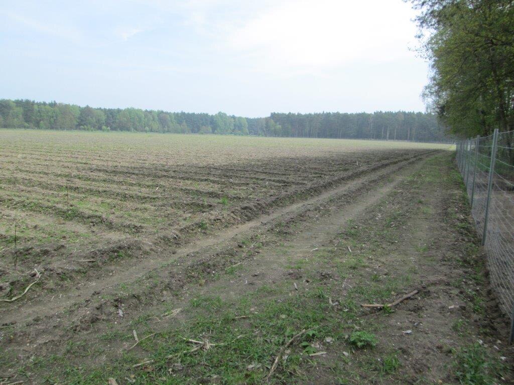 Ackerfläche vor Pflanzbeginn