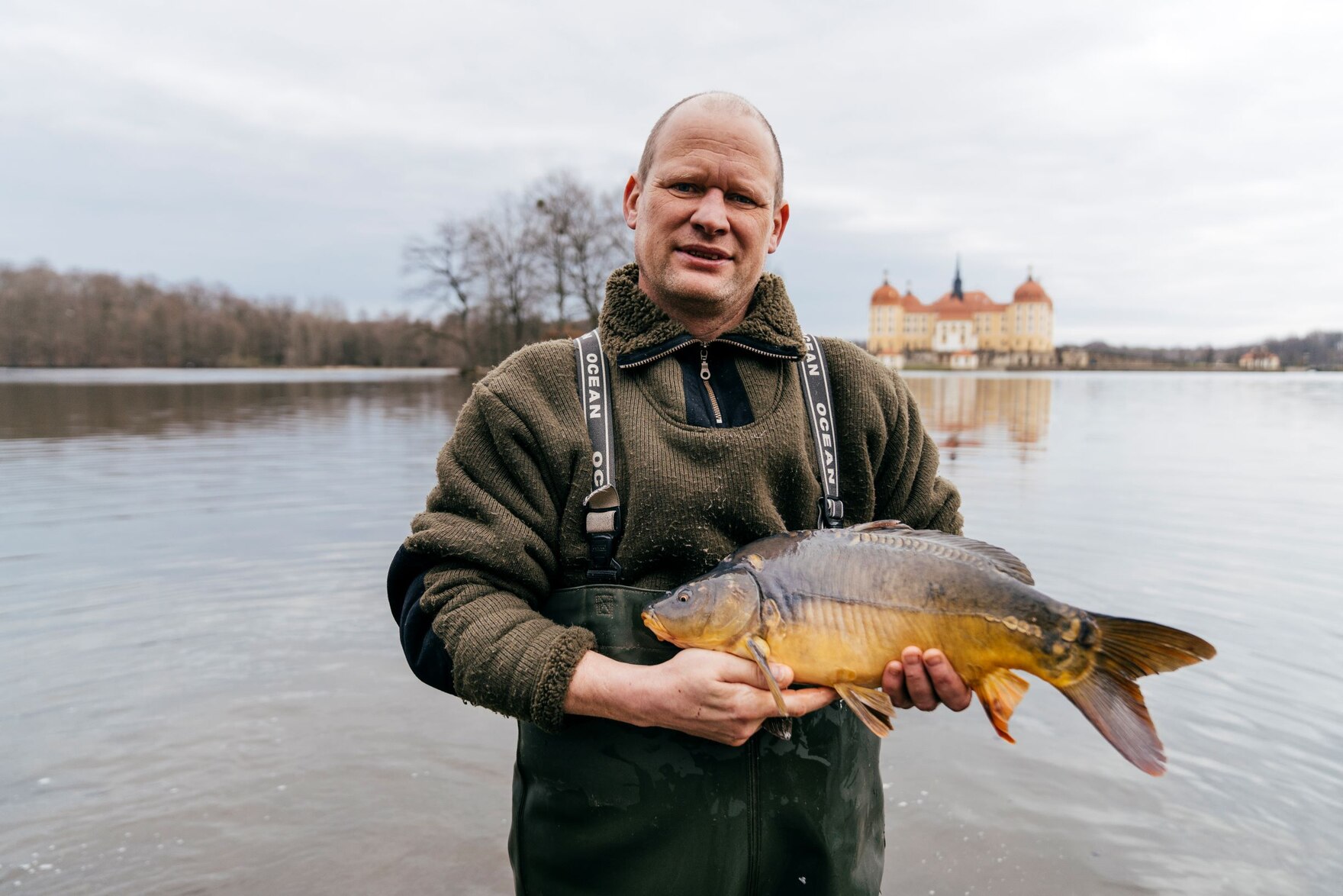 Herr Lindner mit Karpfen in den Händen, im Moritzburger Teich stehend, im Hintergrund Schloß Moritzburg