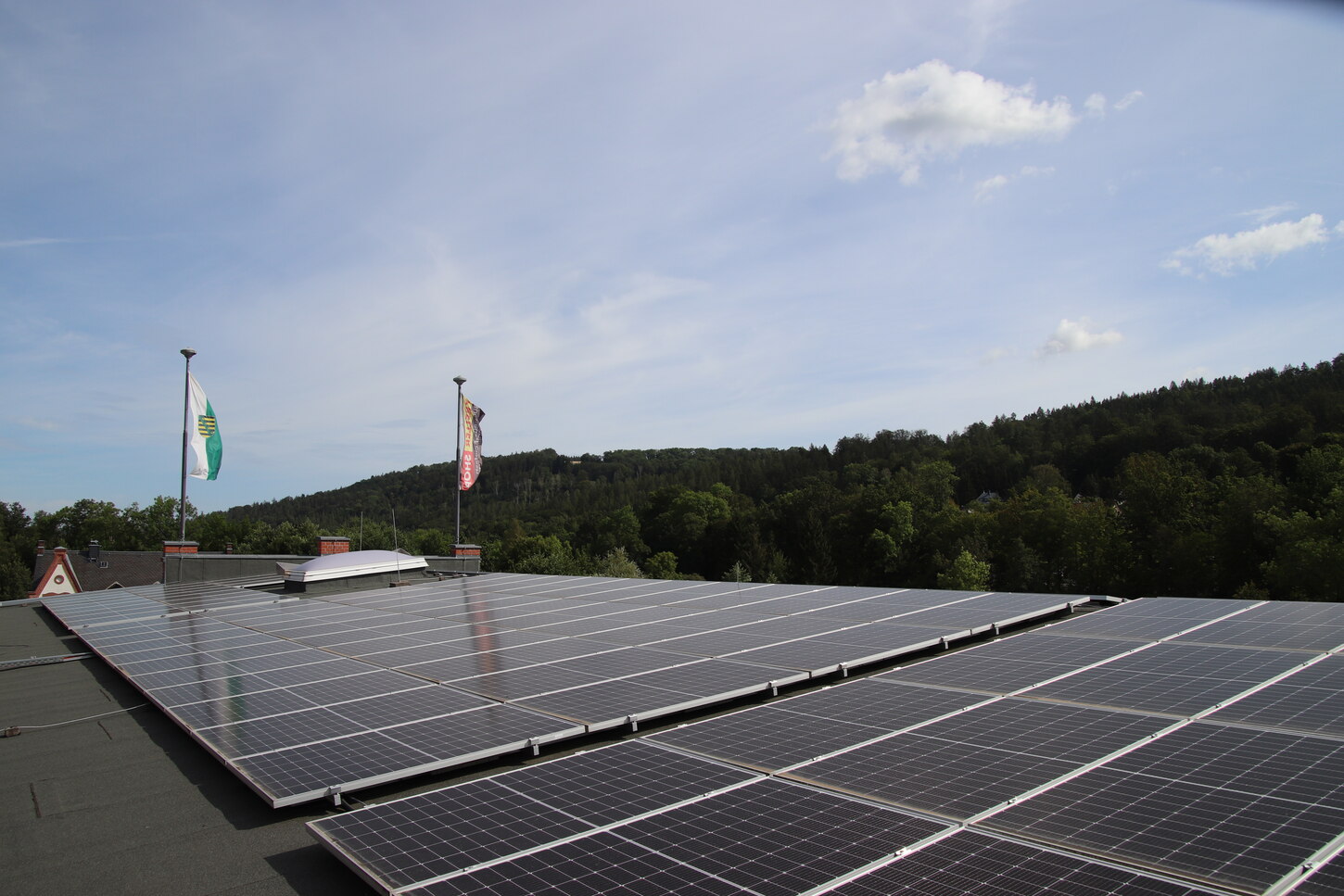 Ein großes Solarfeld. Am Ende des Daches wehen die sächsische Fahne und die Fahne der Firma. Im Hintergrund Wald und blauer Himmel